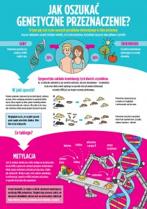 Infografika_Jak oszukać genetyczne przeznaczenie