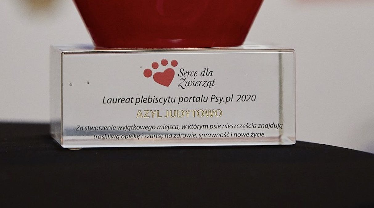 Judytowo – pierwszy w Polsce azyl dla szczeniąt i psów niepełnosprawnych nagrodzony 